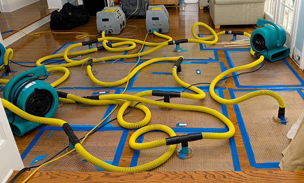 Professional Water Damage Restoration technician working in Brookhaven, GA
